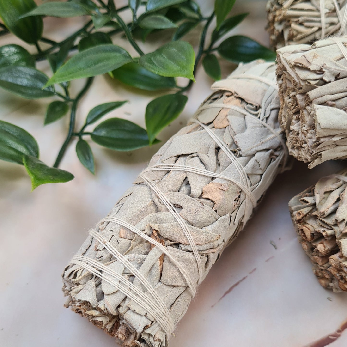 White Sage Bundle